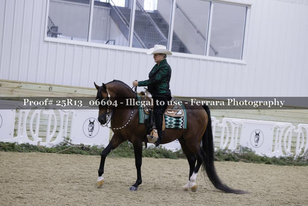 Proof Number 25R13_06604