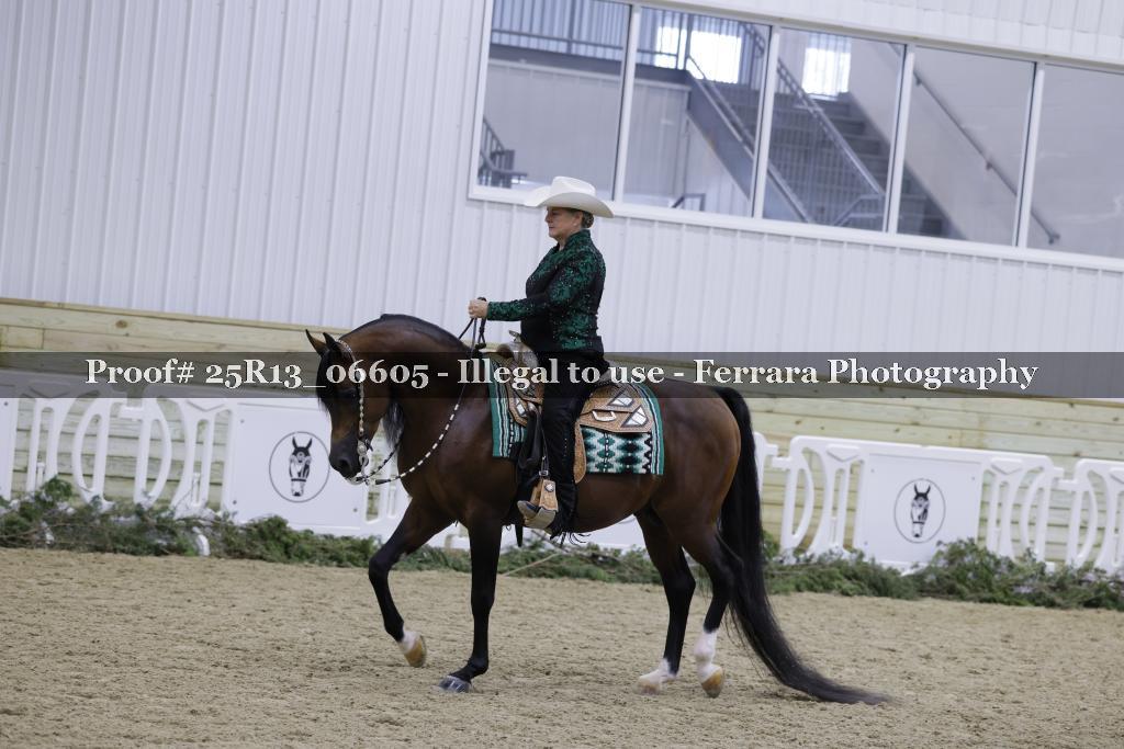 Proof Number 25R13_06605