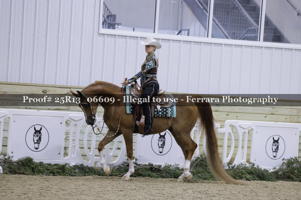Proof Number 25R13_06609