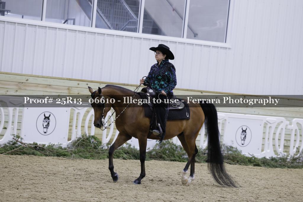 Proof Number 25R13_06610