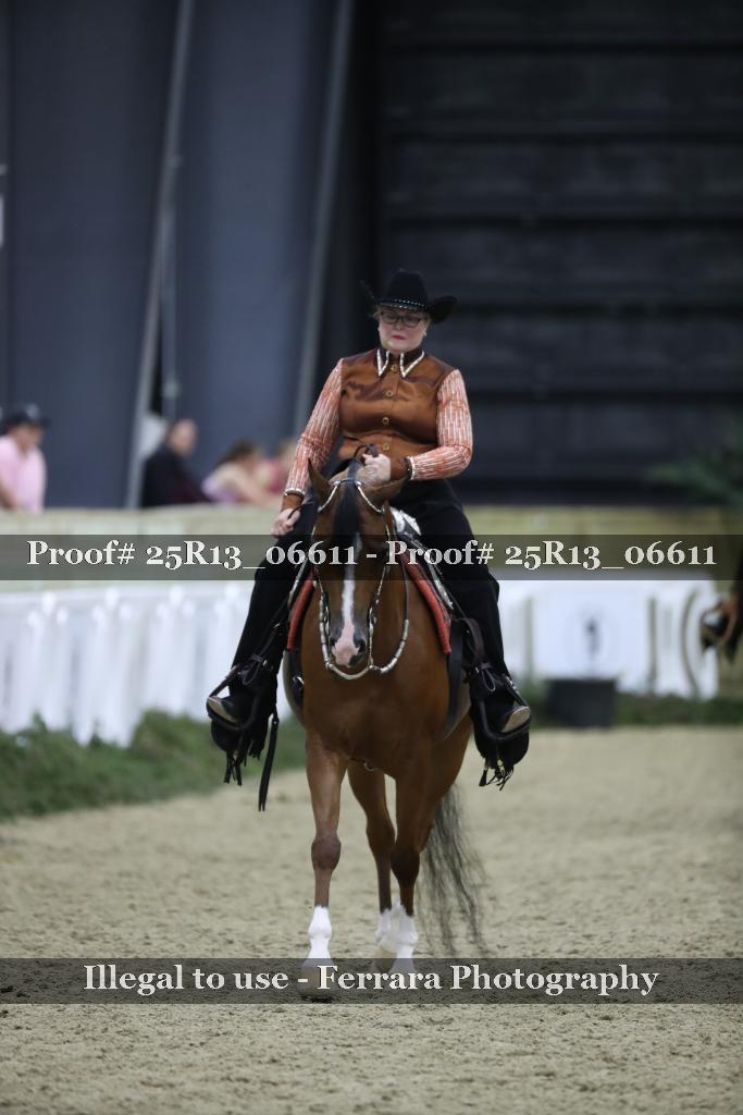 Proof Number 25R13_06611