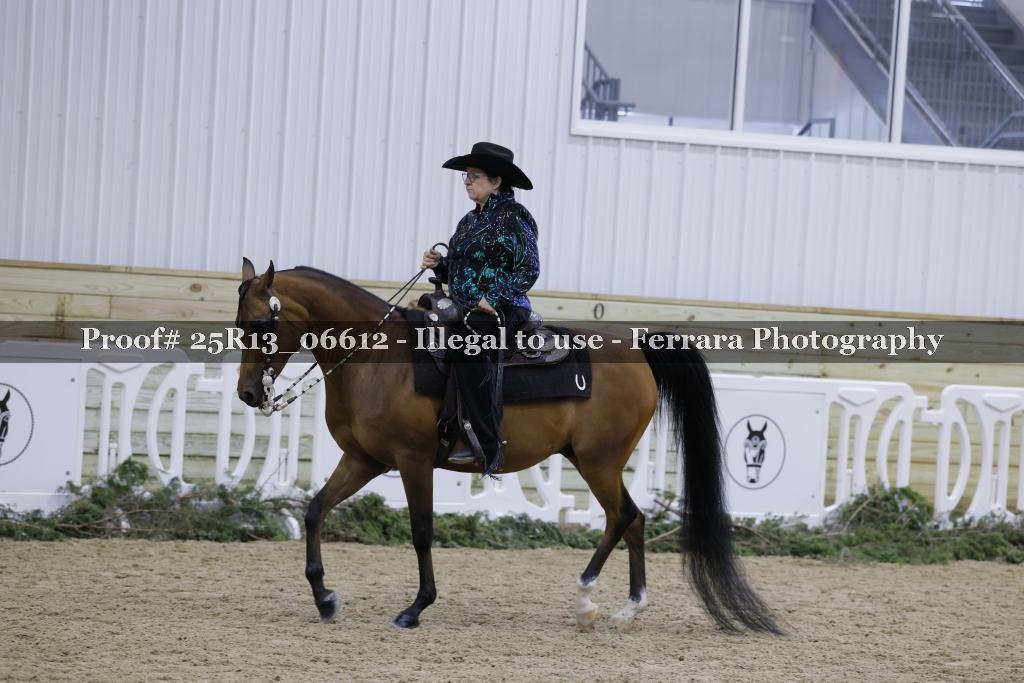 Proof Number 25R13_06612