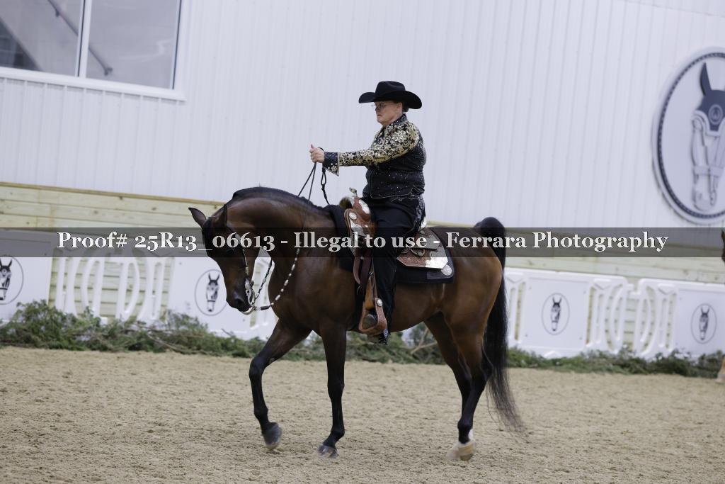 Proof Number 25R13_06613
