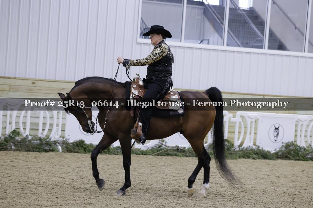 Proof Number 25R13_06614