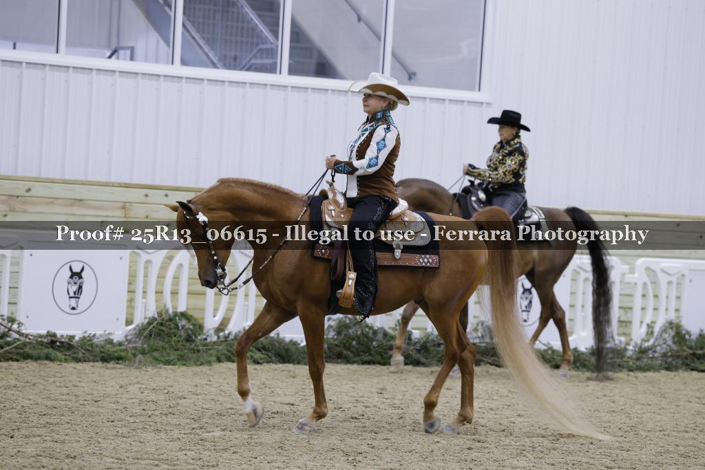 Proof Number 25R13_06615