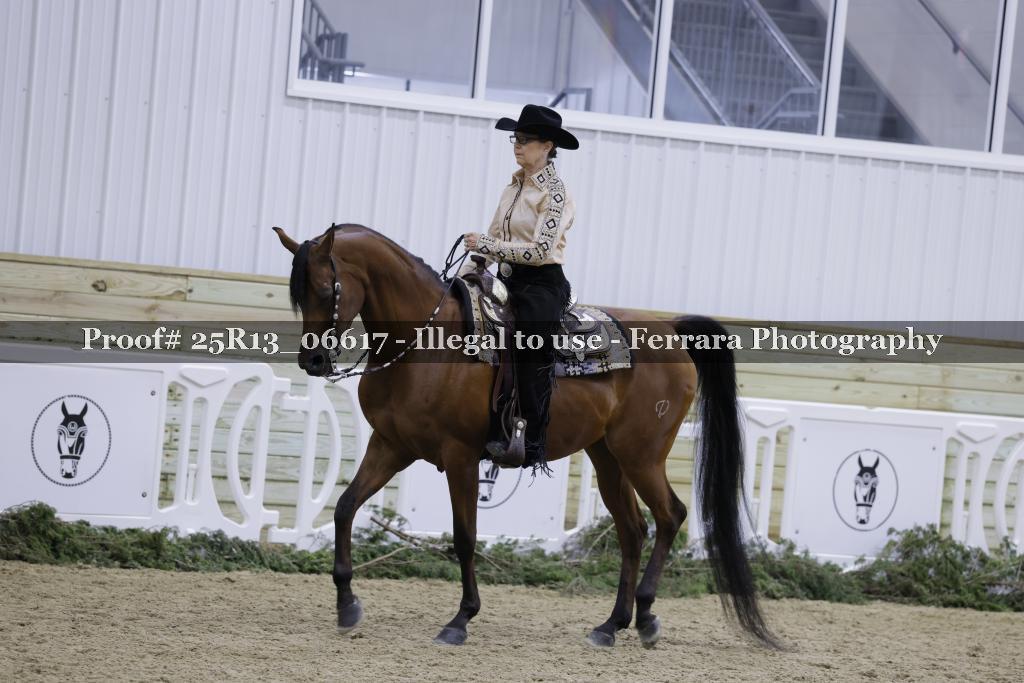 Proof Number 25R13_06617