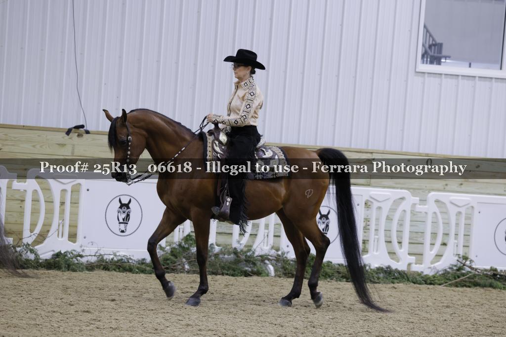 Proof Number 25R13_06618