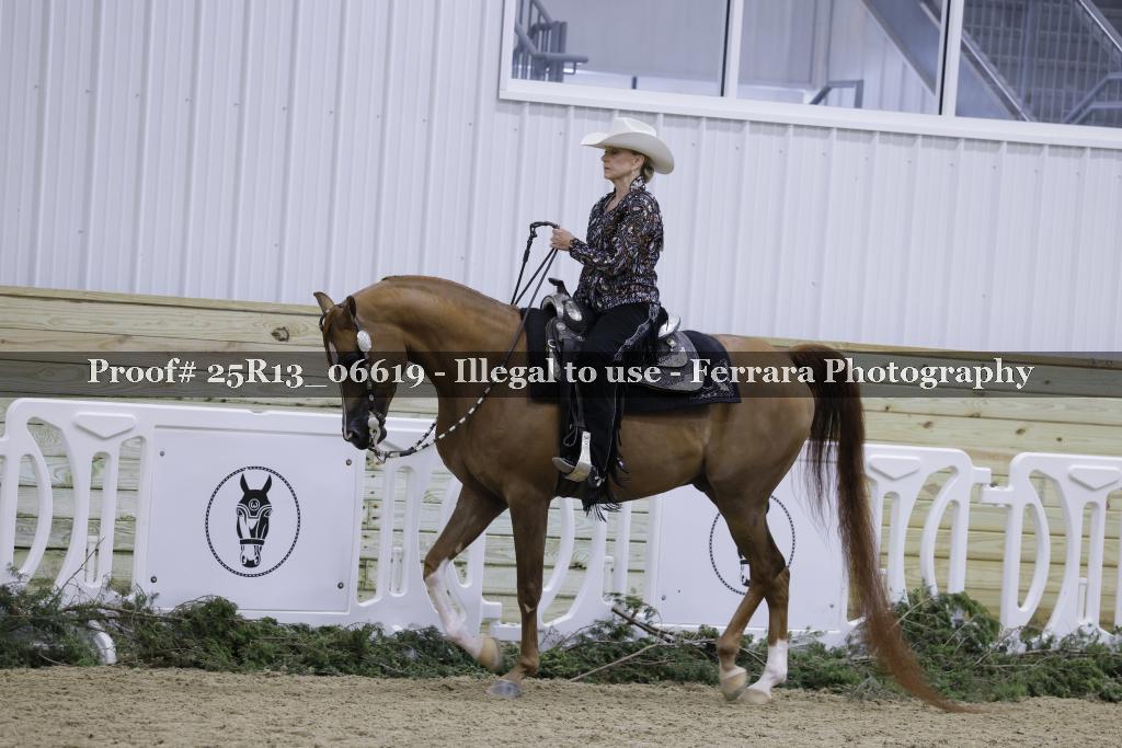 Proof Number 25R13_06619
