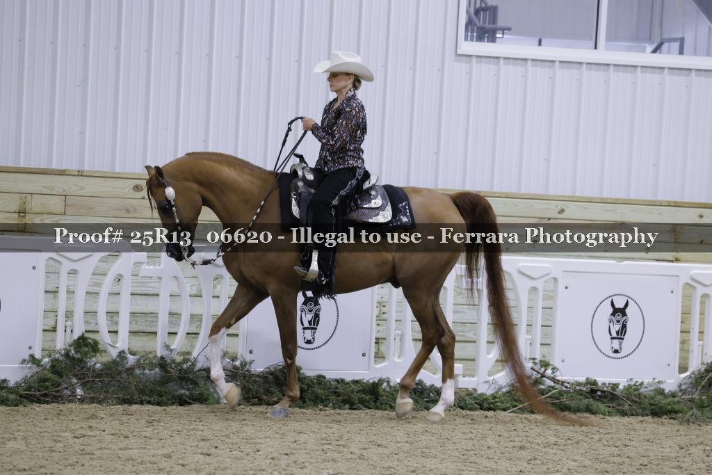 Proof Number 25R13_06620