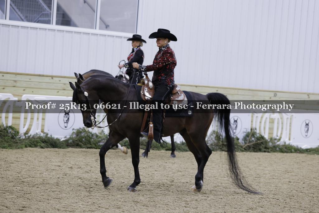 Proof Number 25R13_06621