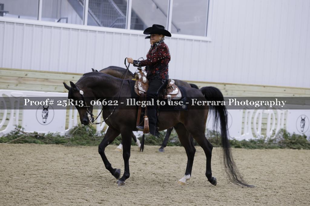 Proof Number 25R13_06622