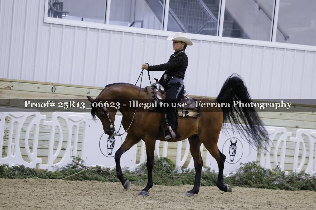 Proof Number 25R13_06623