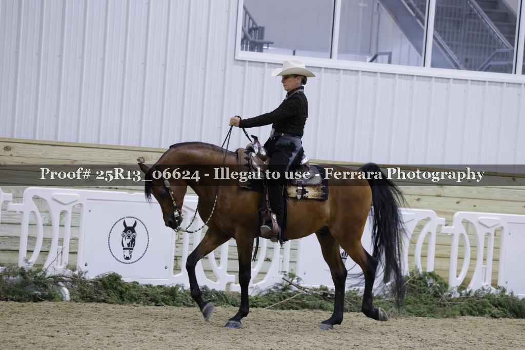 Proof Number 25R13_06624