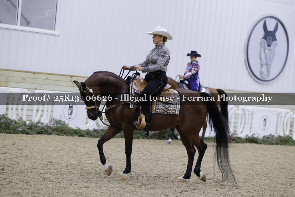 Proof Number 25R13_06626