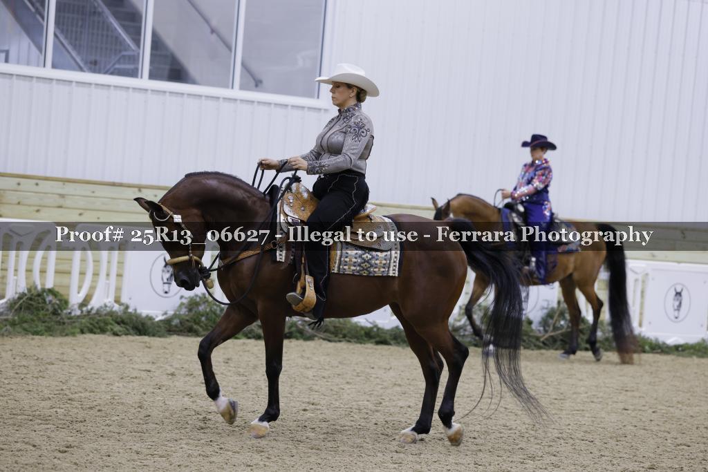 Proof Number 25R13_06627