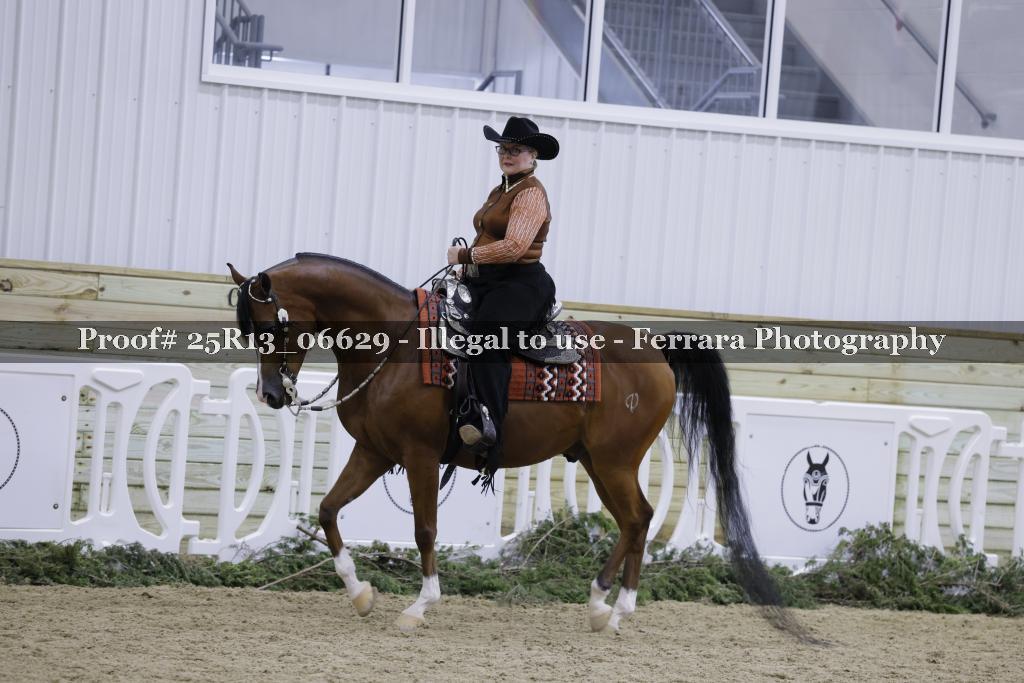 Proof Number 25R13_06629