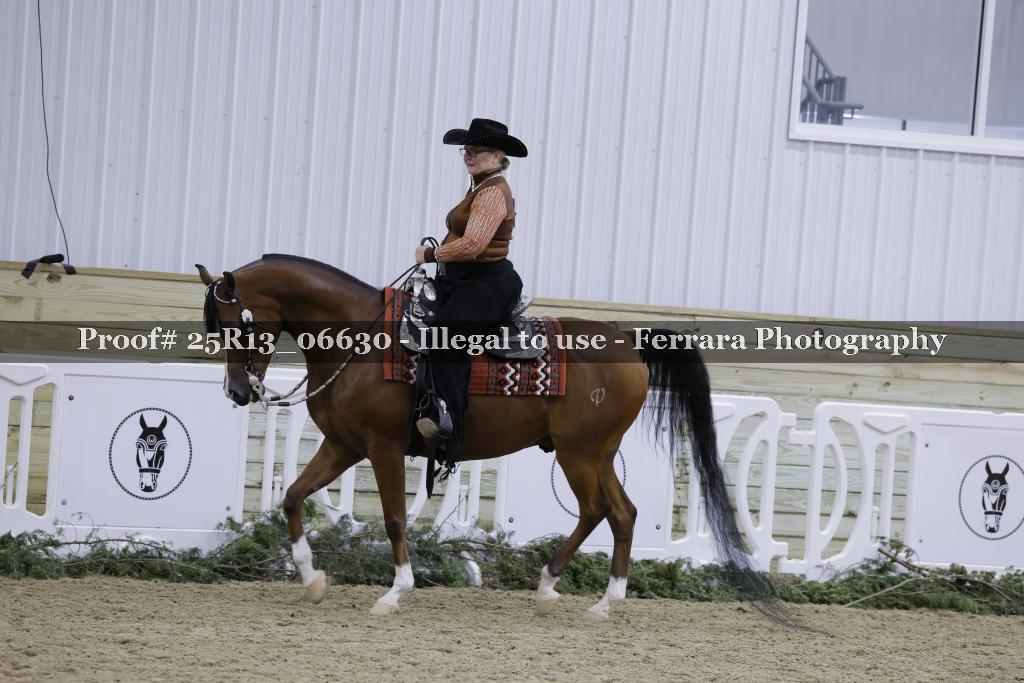 Proof Number 25R13_06630