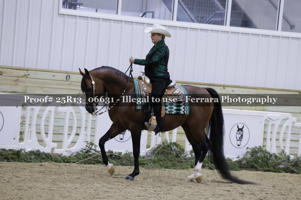 Proof Number 25R13_06631