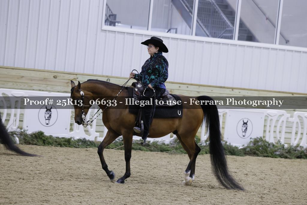 Proof Number 25R13_06633