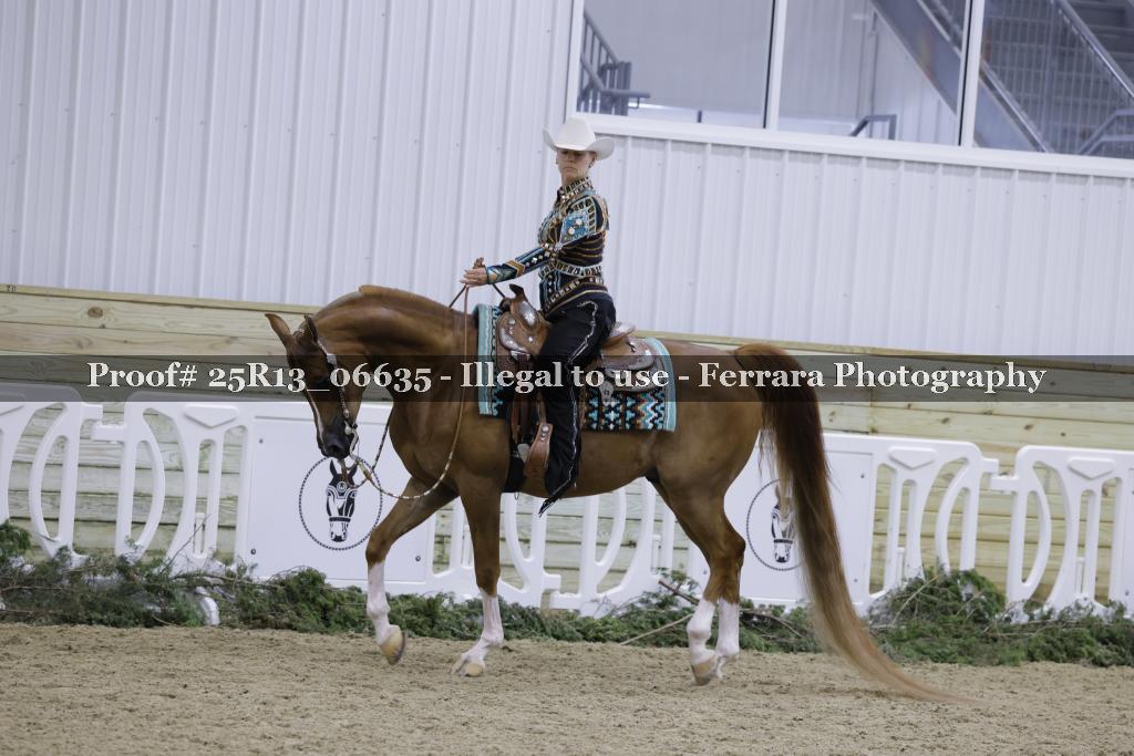 Proof Number 25R13_06635