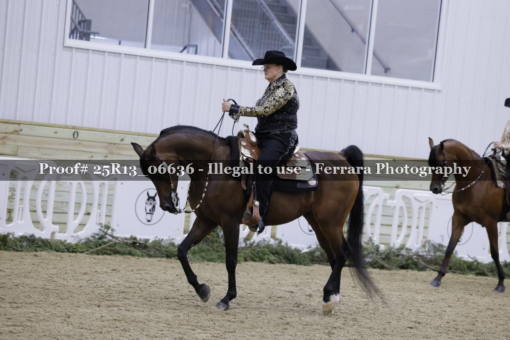 Proof Number 25R13_06636