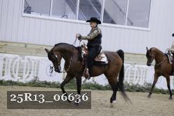 25R13_06636 thumbnail
