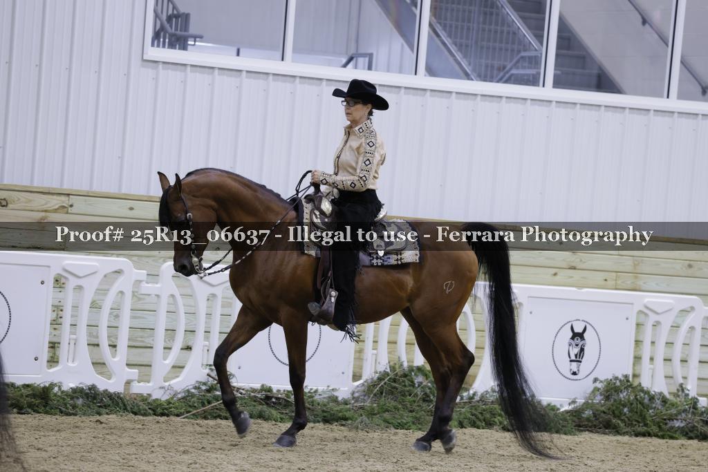 Proof Number 25R13_06637