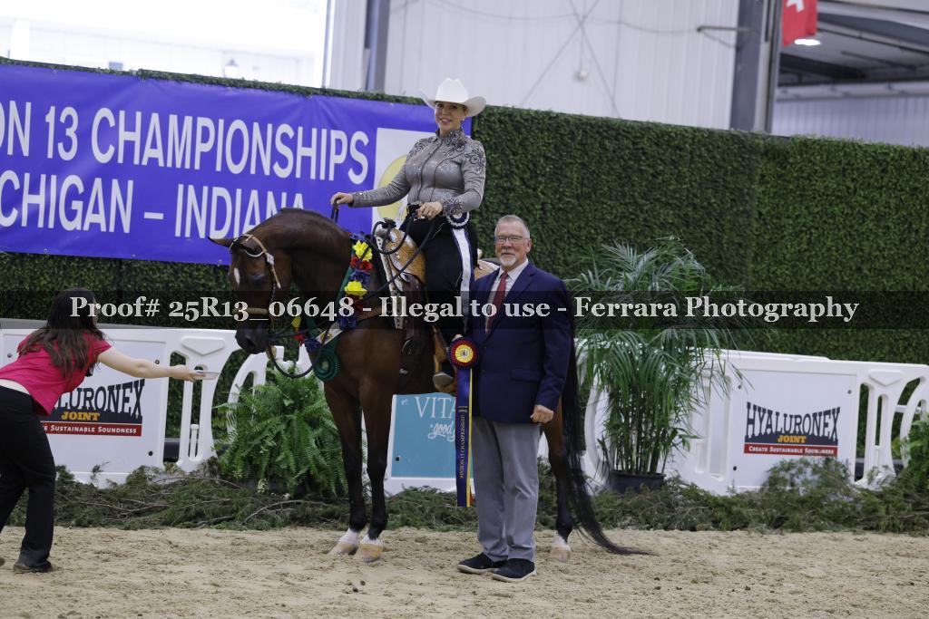Proof Number 25R13_06648