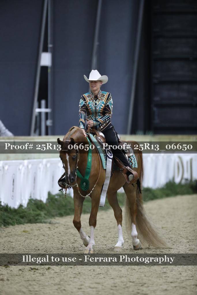 Proof Number 25R13_06650