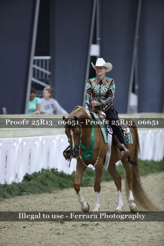 Proof Number 25R13_06651
