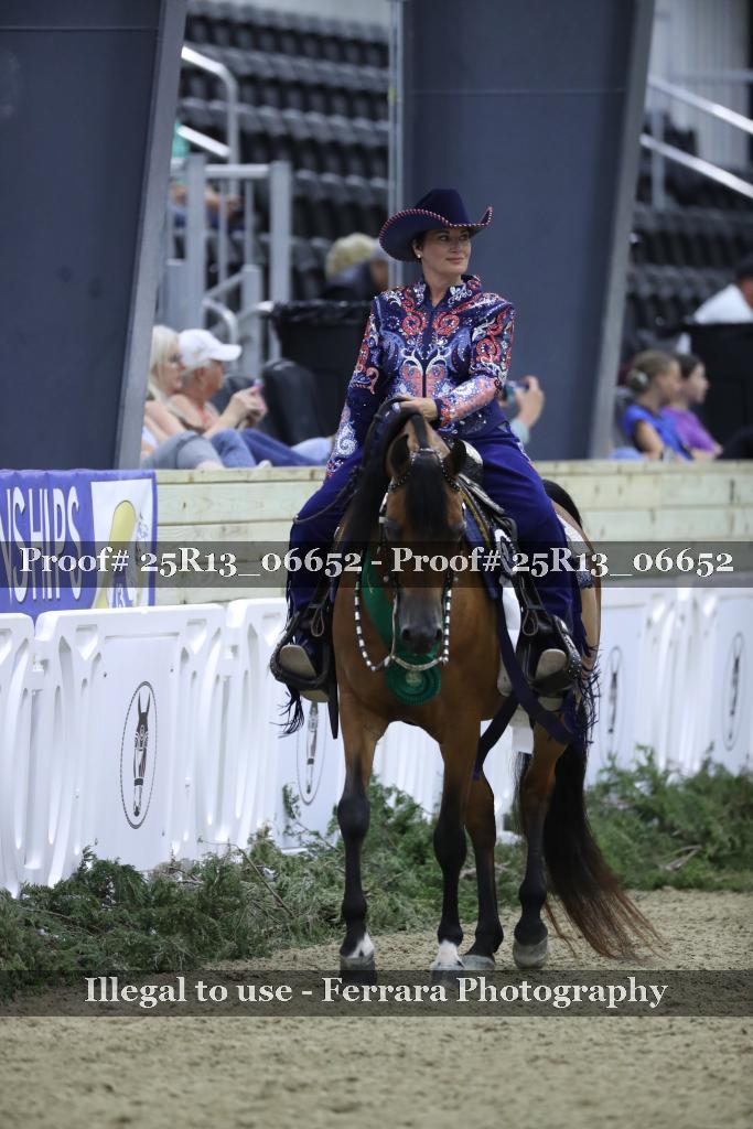 Proof Number 25R13_06652