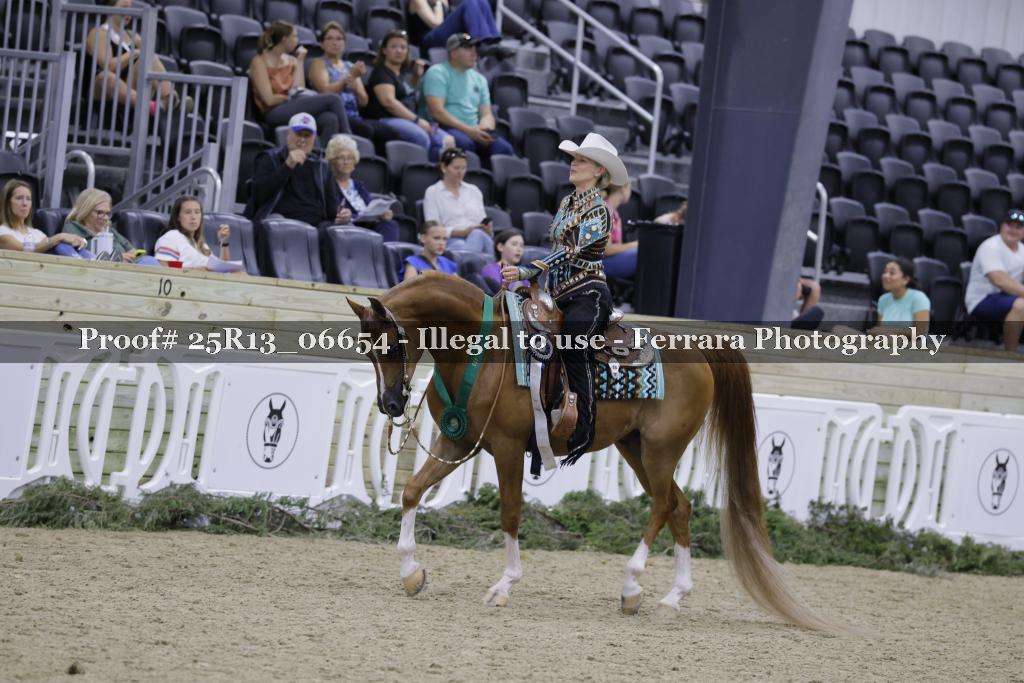 Proof Number 25R13_06654