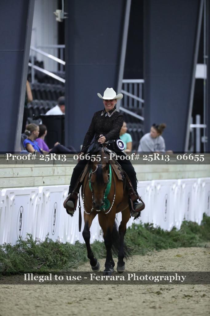 Proof Number 25R13_06655