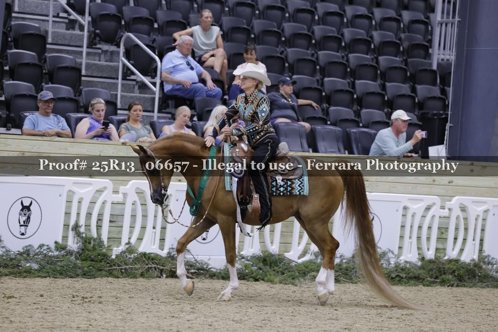 Proof Number 25R13_06657