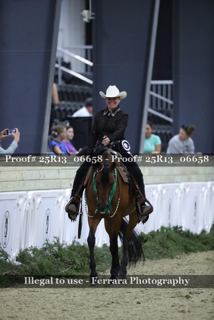 Proof Number 25R13_06658