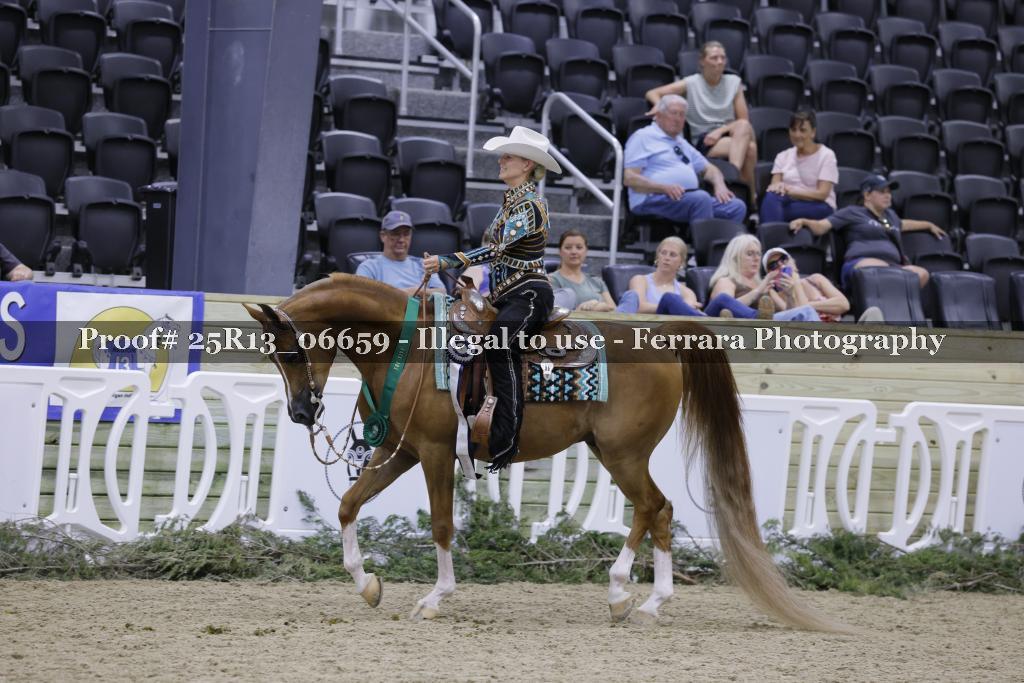 Proof Number 25R13_06659