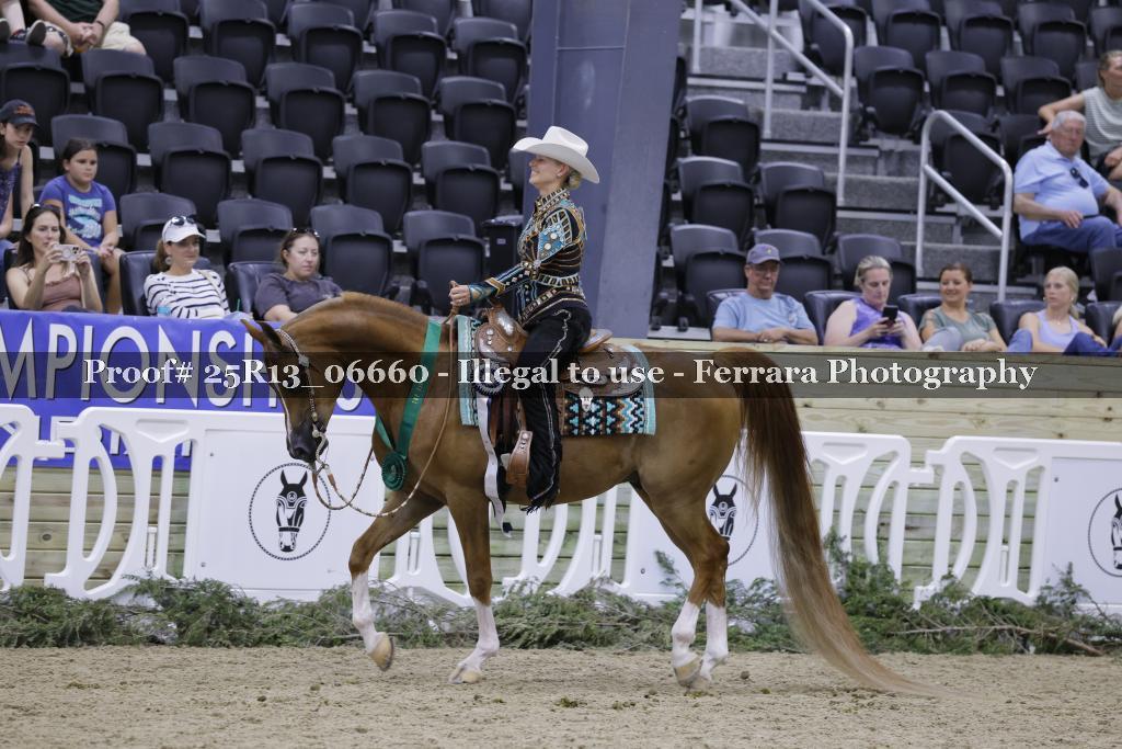 Proof Number 25R13_06660