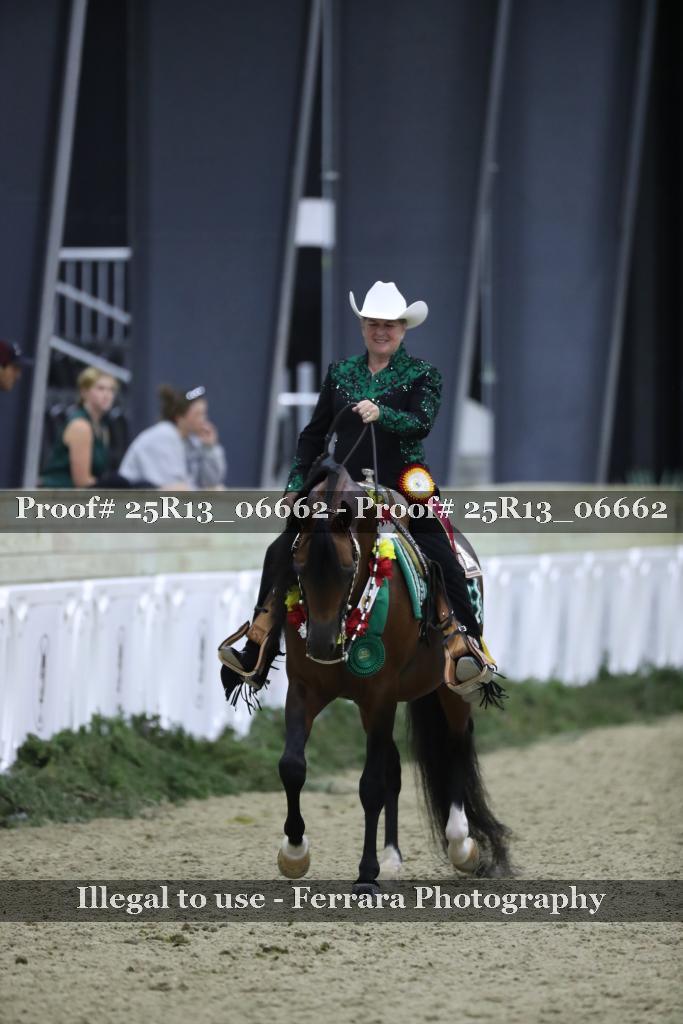 Proof Number 25R13_06662