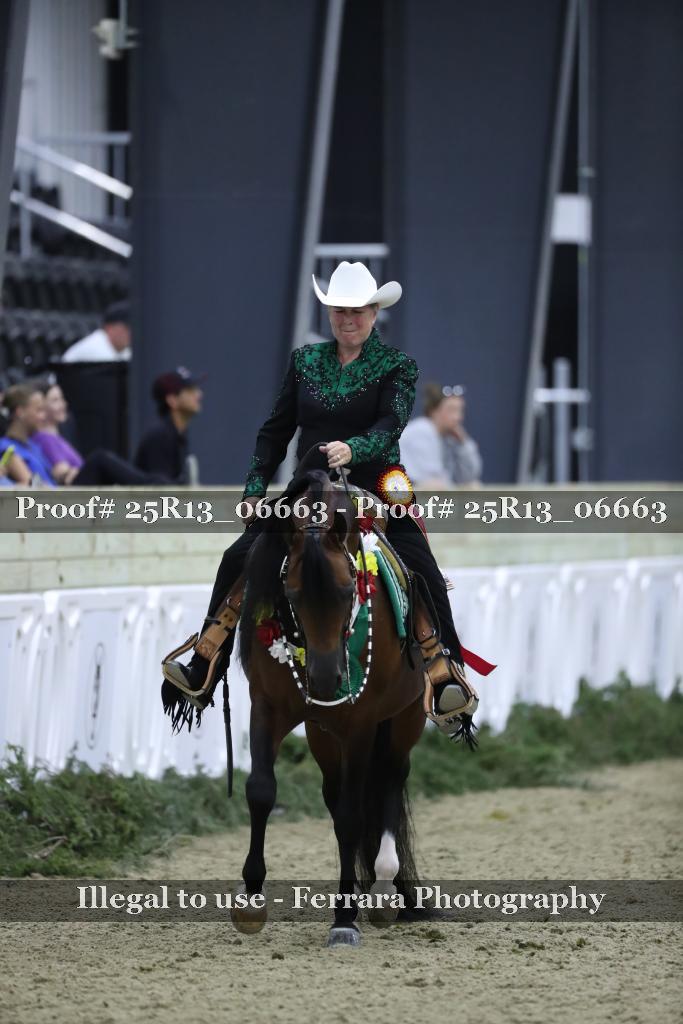 Proof Number 25R13_06663