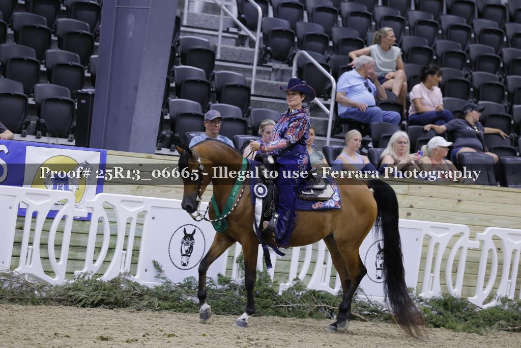 Proof Number 25R13_06665