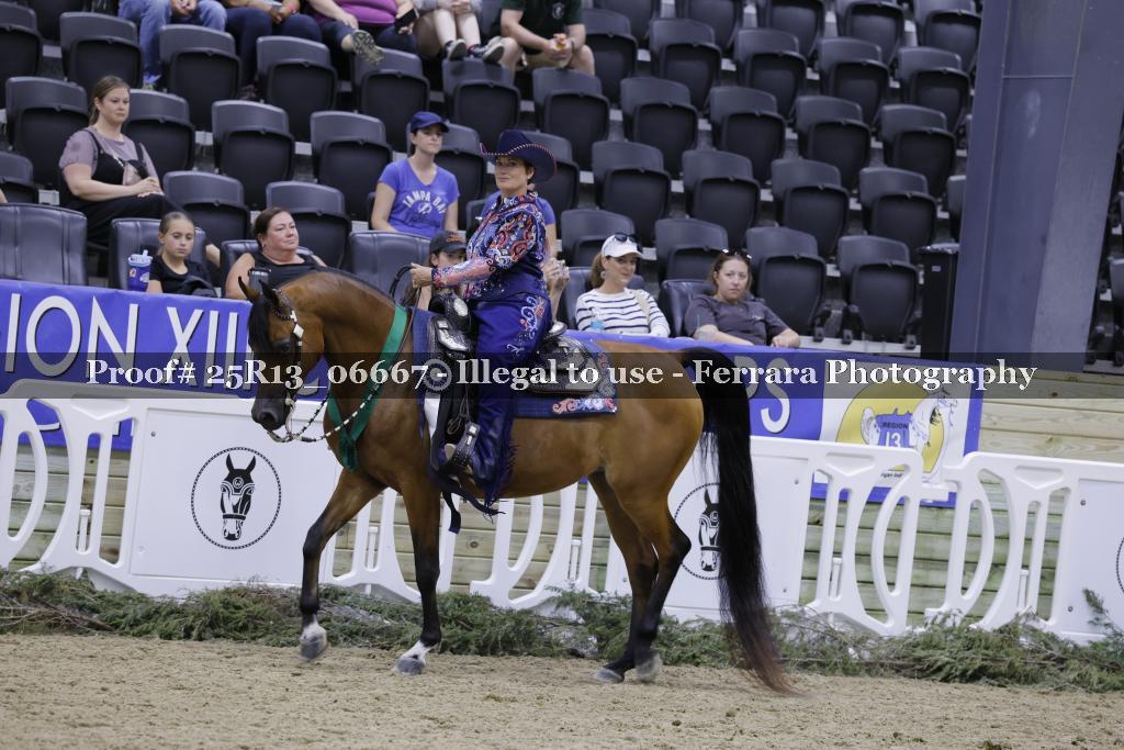 Proof Number 25R13_06667