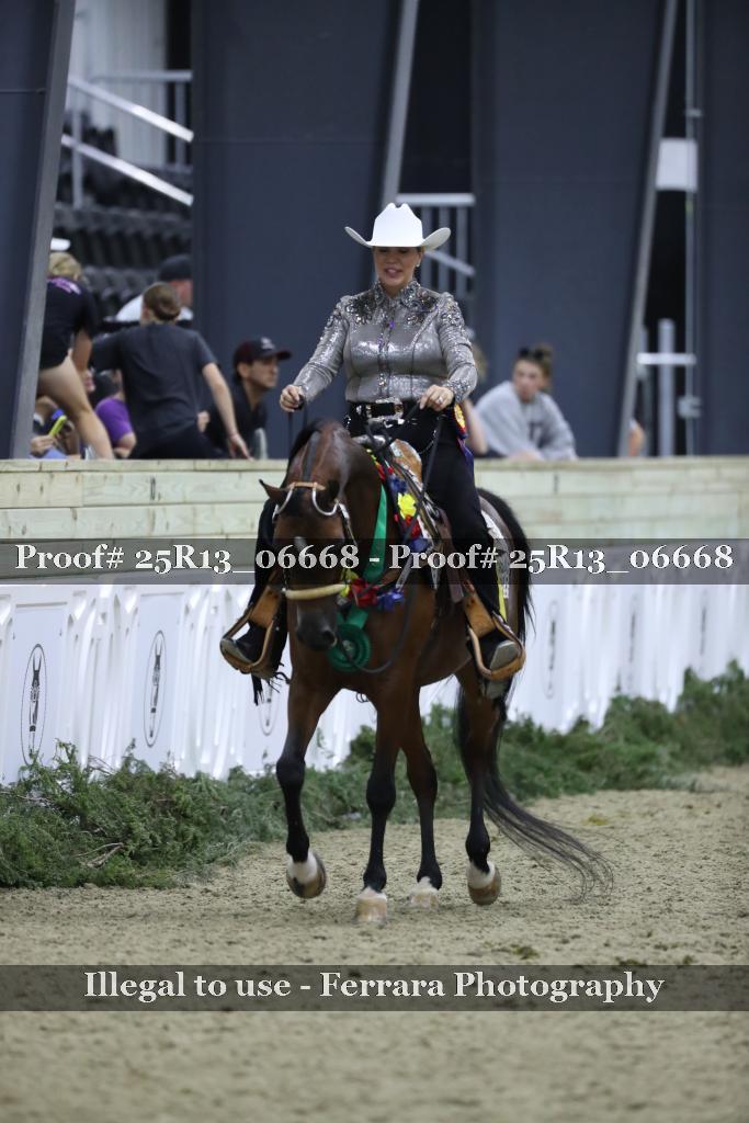 Proof Number 25R13_06668