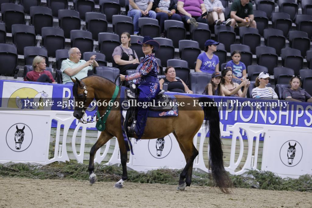 Proof Number 25R13_06669