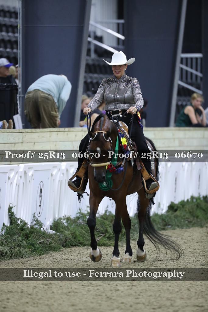 Proof Number 25R13_06670