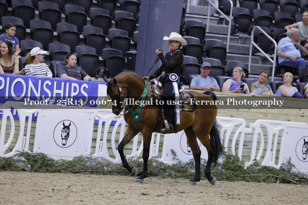 Proof Number 25R13_06674