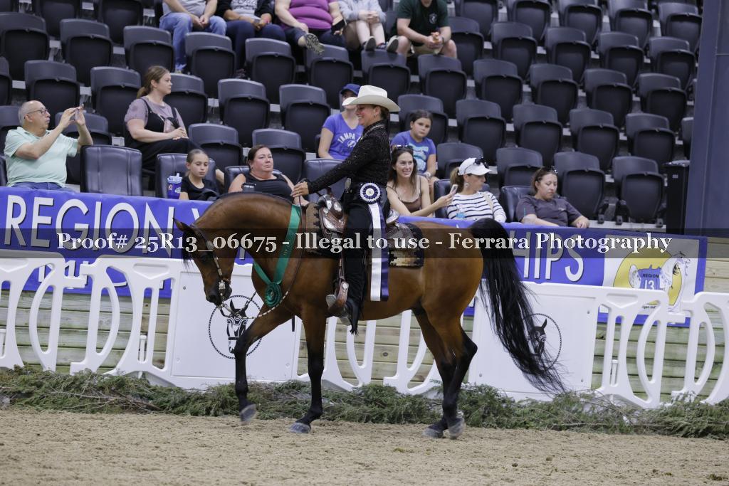 Proof Number 25R13_06675