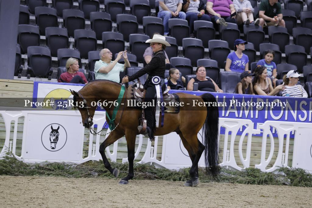 Proof Number 25R13_06676