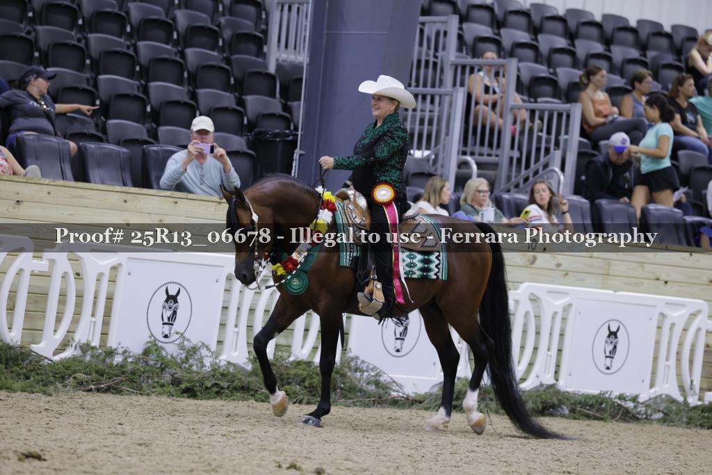 Proof Number 25R13_06678