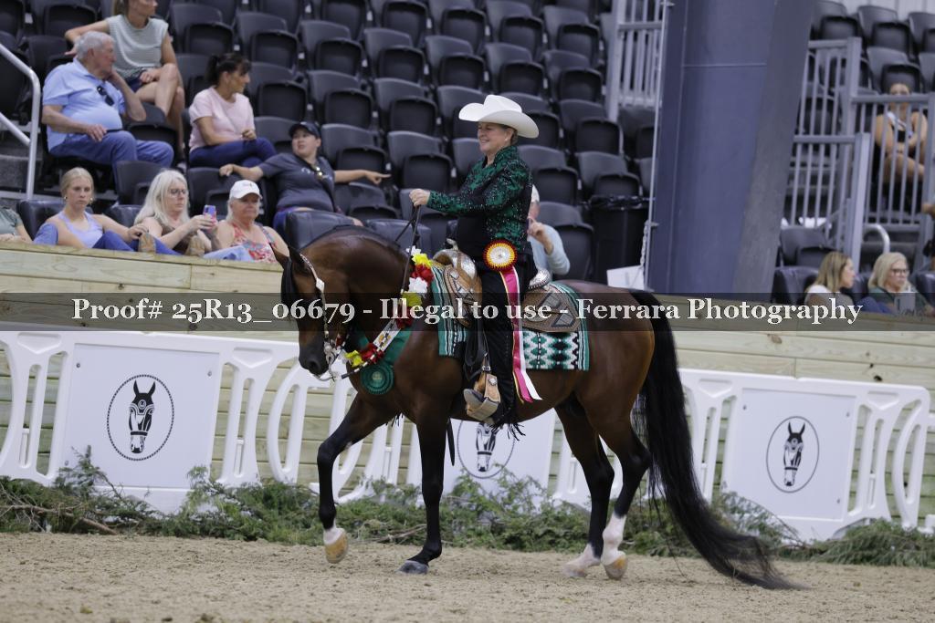 Proof Number 25R13_06679