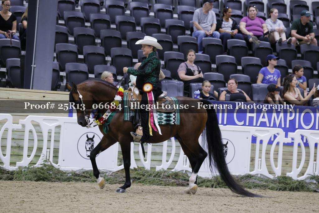 Proof Number 25R13_06684